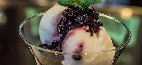 Dessert: Lemon Sorbet - Vittorio's Italian Eatery - Niagara Falls Restaurants
